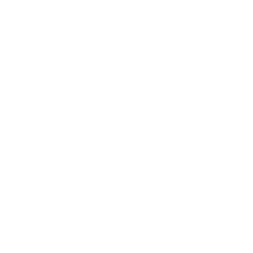 Secure Payment